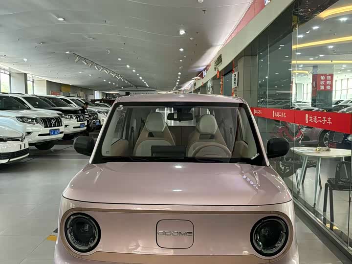 Фото 1 - Geely Galaxy Panda Mini