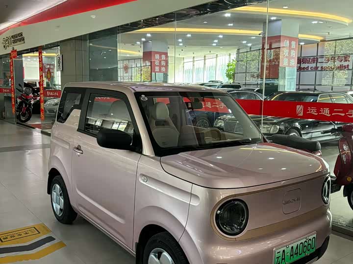 Фото 2 - Geely Galaxy Panda Mini