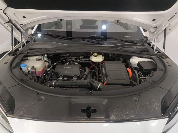 Фото 11 - BYD Song Plus Hybrid/EV