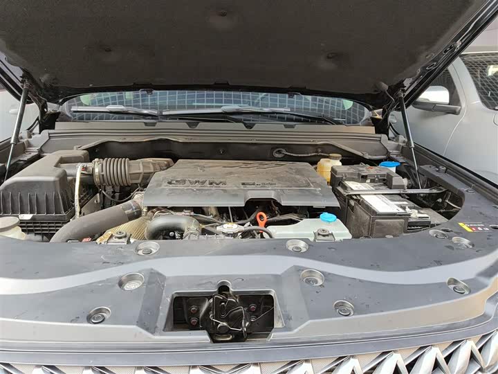 Фото 20 - Great Wall Pao