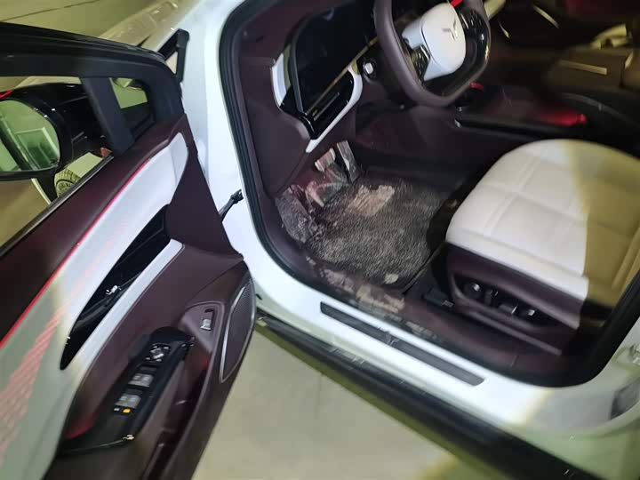 Фото 16 - Hongqi EH7