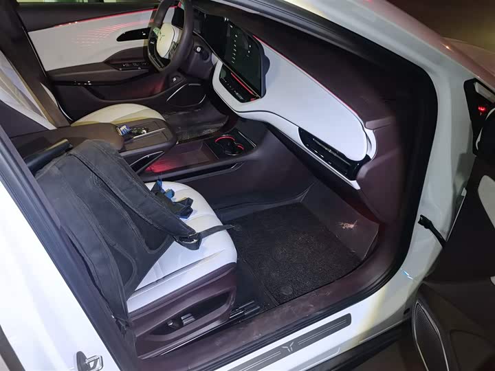 Фото 25 - Hongqi EH7