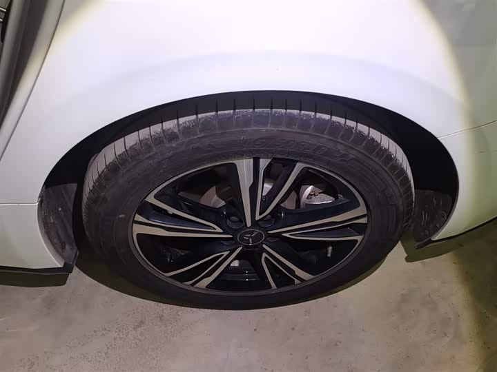 Фото 26 - Hongqi EH7