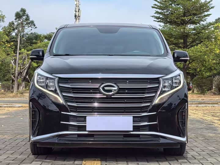 Фото 2 - GAC Trumpchi M8