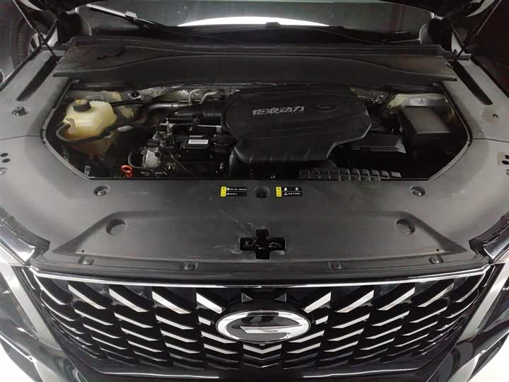 Фото 20 - GAC Trumpchi GS8