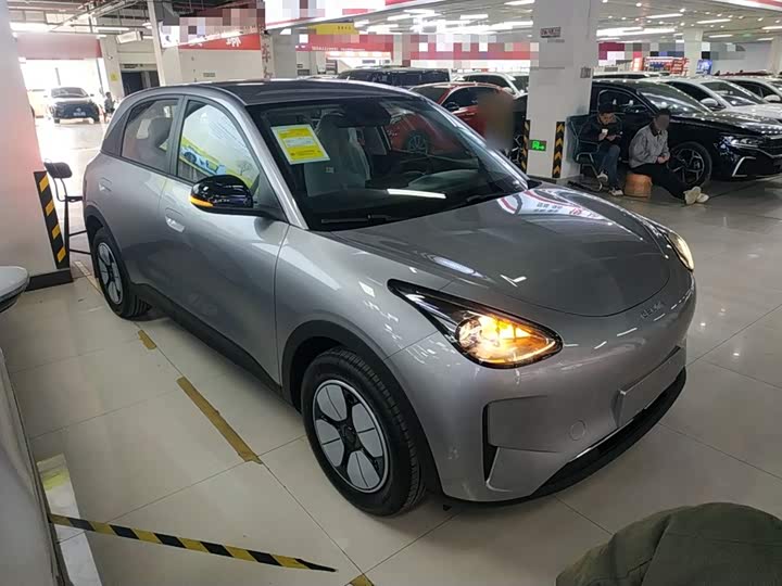 Фото 4 - Geely Galaxy Geome