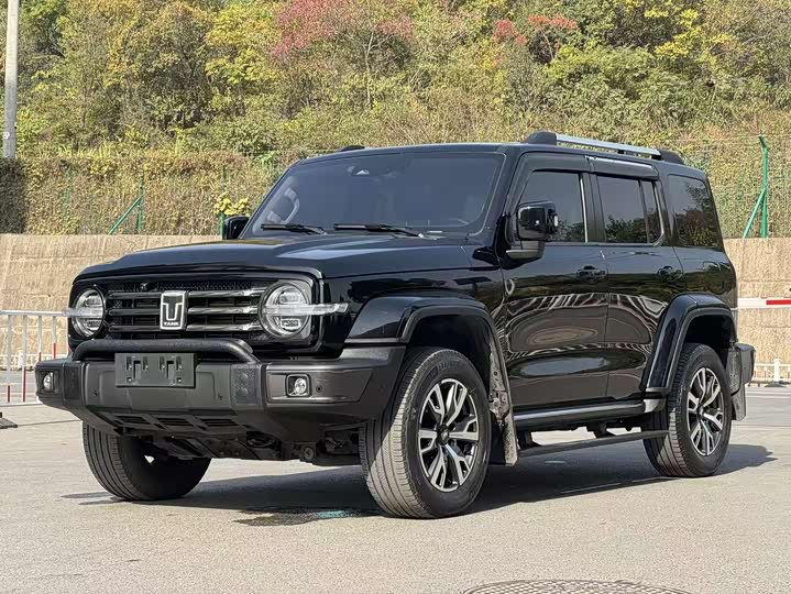 Фото 1 - Tank 300