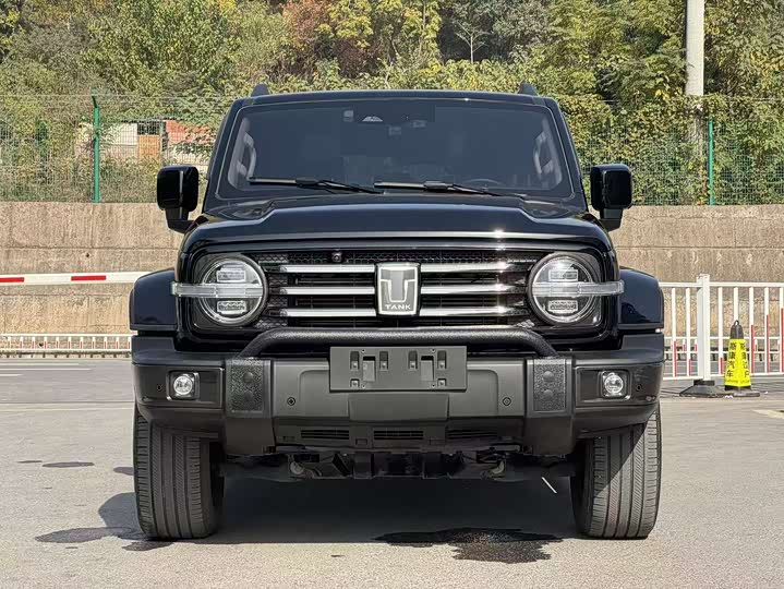 Фото 2 - Tank 300