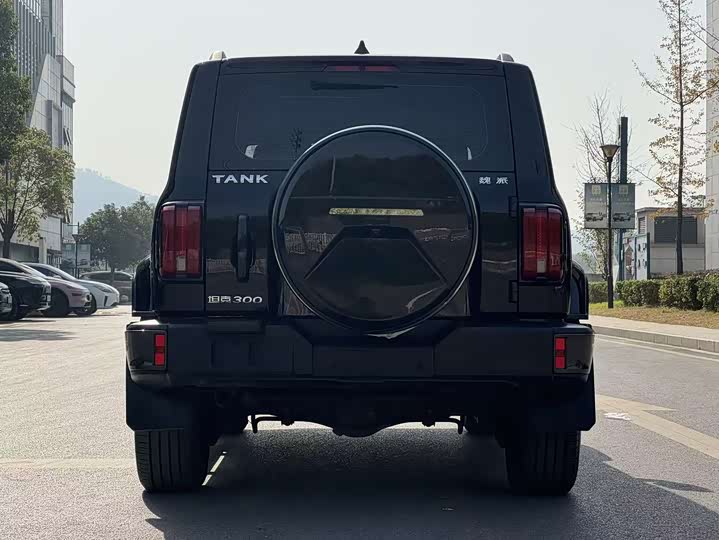 Фото 5 - Tank 300