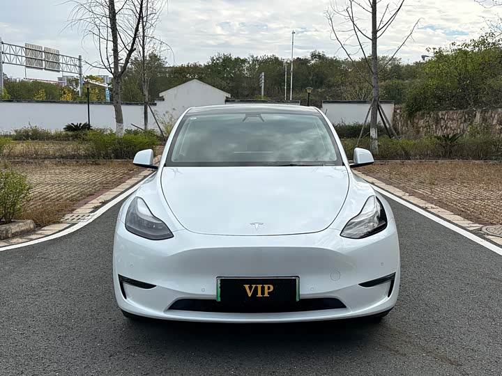 Фото 2 - Tesla Model Y