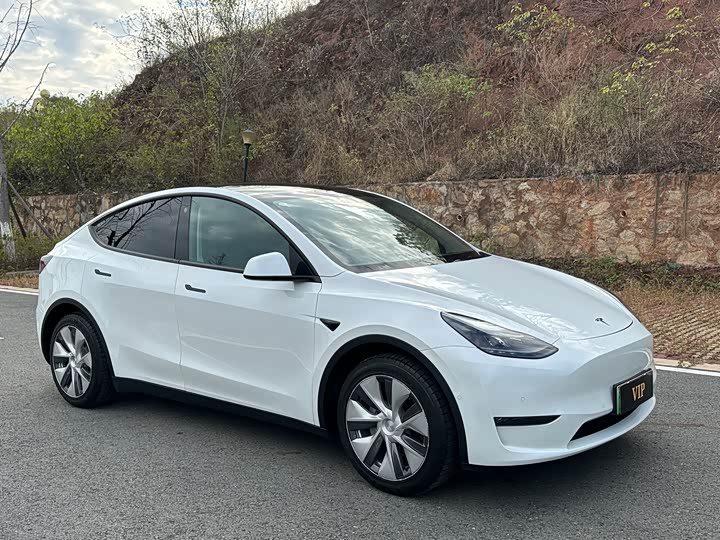 Фото 3 - Tesla Model Y
