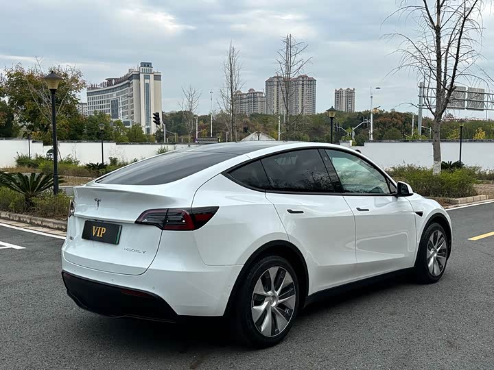 Фото 8 - Tesla Model Y