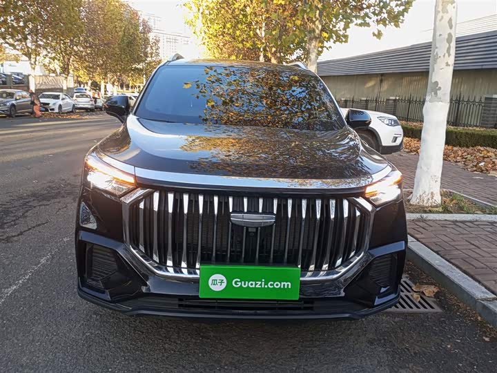 Фото 3 - Geely Okavango L