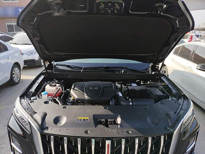 Фото 10 - Hongqi HS5