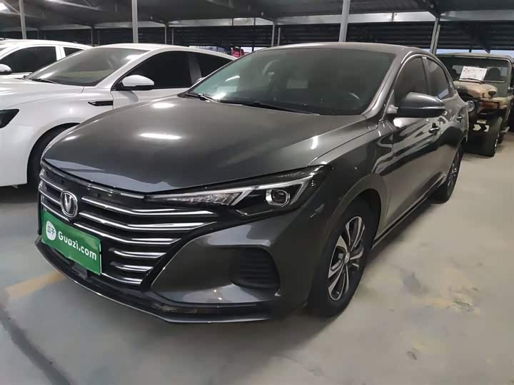 Фото 2 - Changan Eado Plus