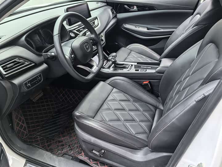 Фото 9 - Changan Raeton CC