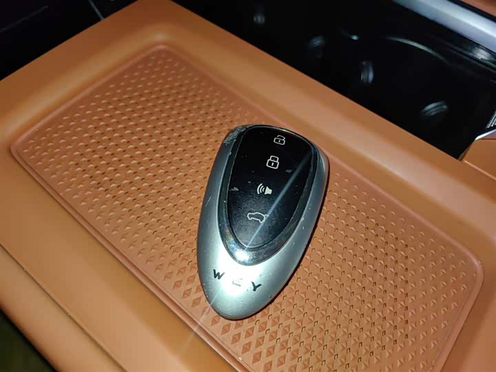 Фото 9 - Wey Lanshan