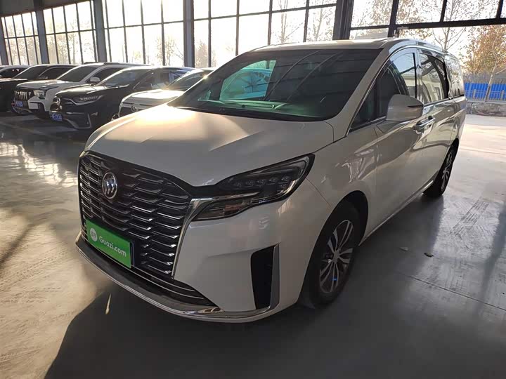 Фото 1 - Buick GL8 ES