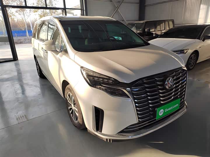 Фото 4 - Buick GL8 ES