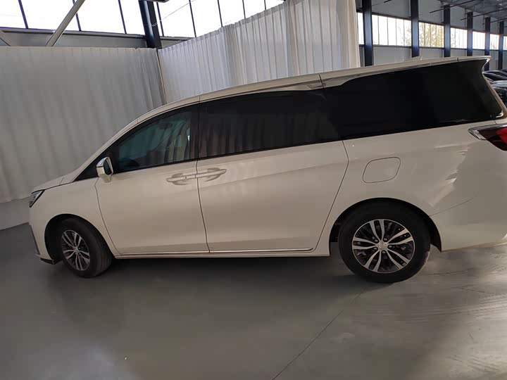 Фото 5 - Buick GL8 ES