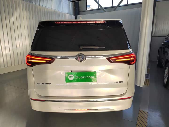 Фото 6 - Buick GL8 ES