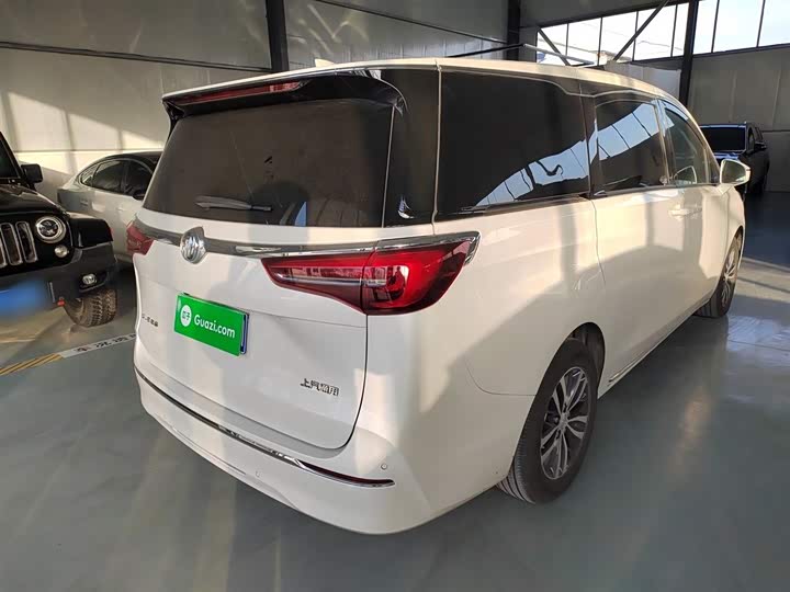 Фото 7 - Buick GL8 ES