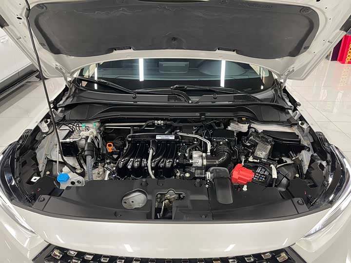 Фото 14 - Honda XR-V