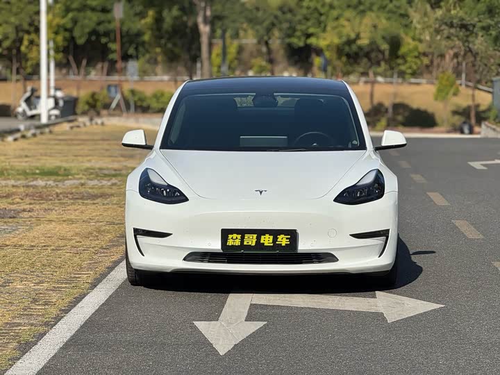 Фото 2 - Tesla Model 3