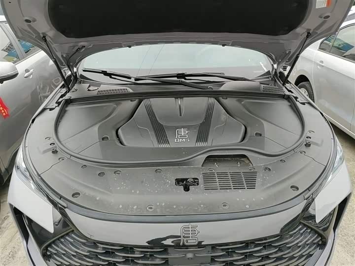 Фото 10 - BYD Tang Hybrid/EV