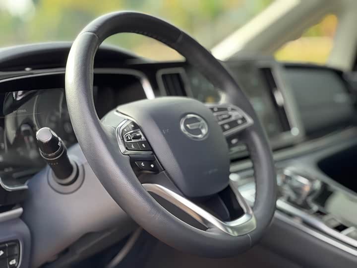 Фото 22 - GAC Trumpchi M8