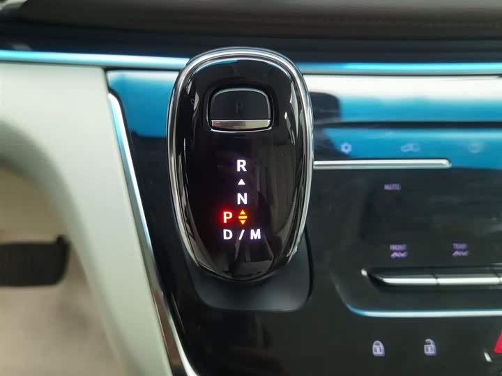 Фото 13 - Buick GL8 ES