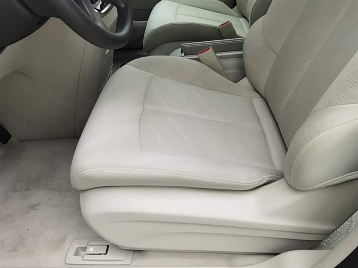 Фото 20 - Buick GL8 ES