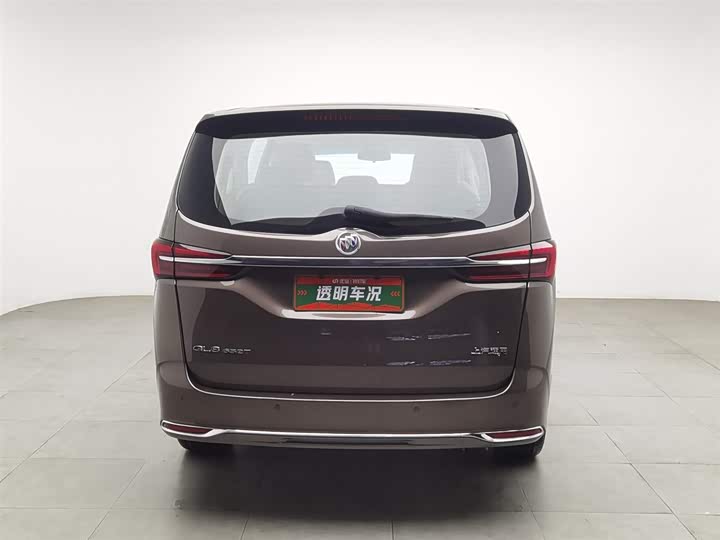 Фото 4 - Buick GL8 ES