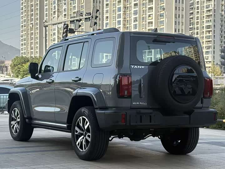 Фото 9 - Tank 300