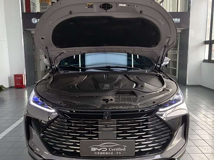 Фото 2 - BYD Tang Hybrid/EV