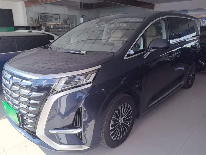 Фото 1 - Denza D9