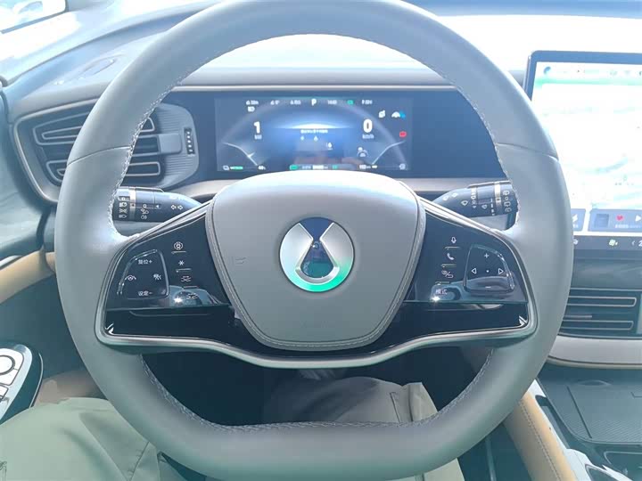 Фото 11 - Denza D9