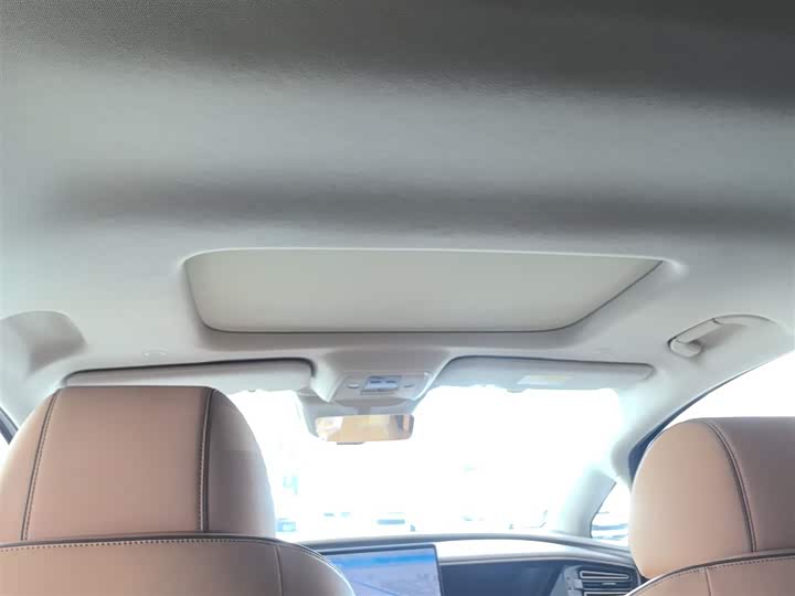 Фото 18 - Denza D9