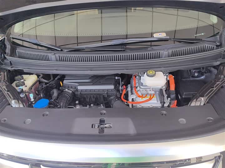 Фото 20 - Denza D9