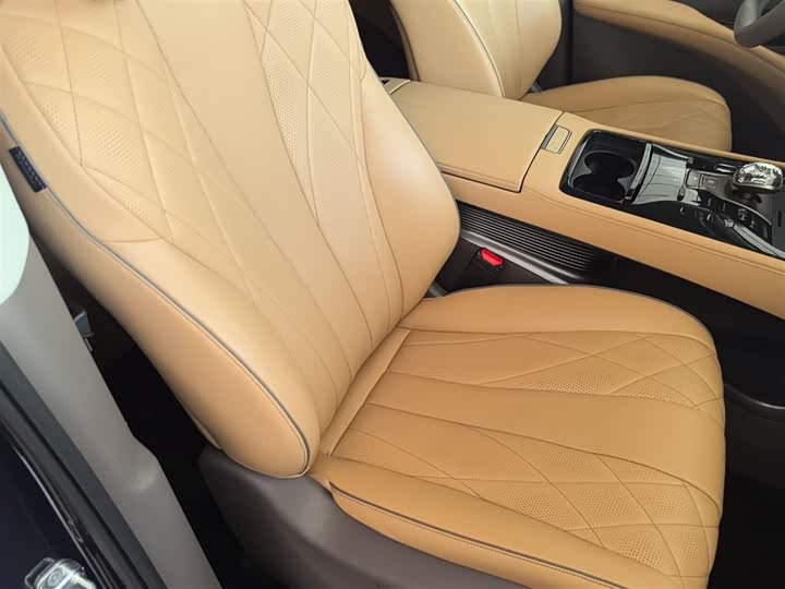 Фото 25 - Denza D9