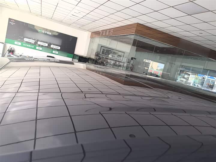 Фото 27 - Denza D9