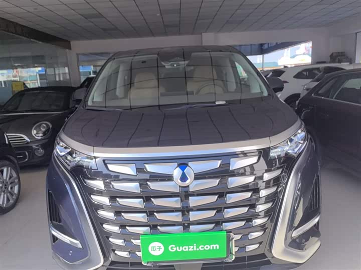 Фото 3 - Denza D9