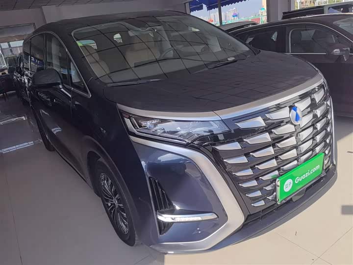 Фото 4 - Denza D9