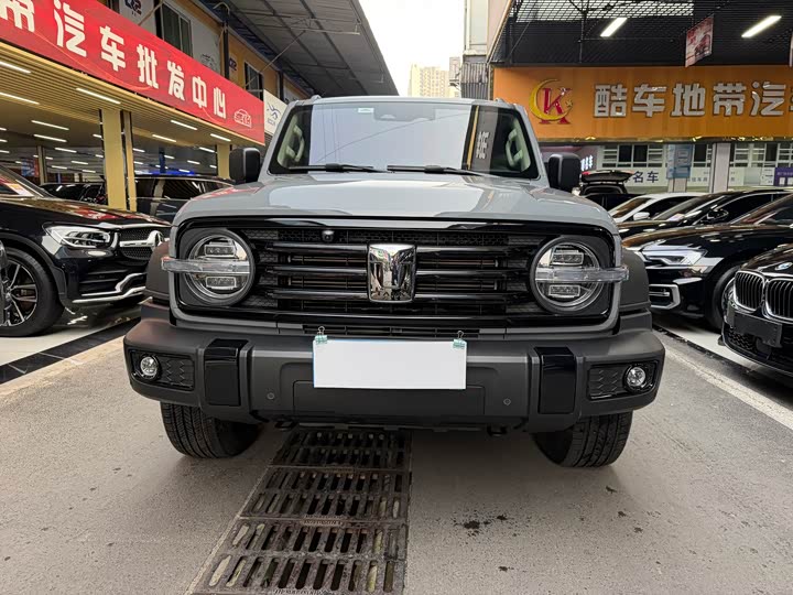 Фото 2 - Tank 300