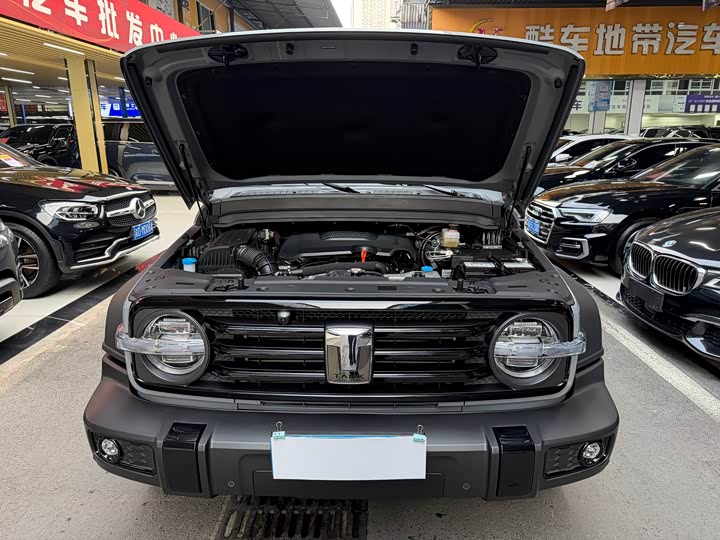 Фото 28 - Tank 300