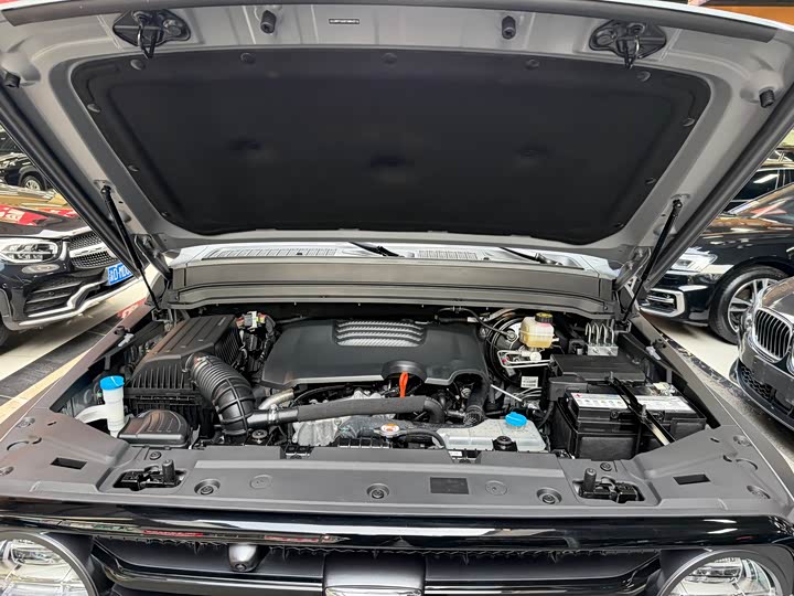 Фото 29 - Tank 300