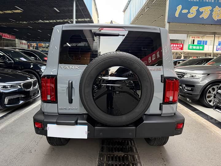 Фото 5 - Tank 300