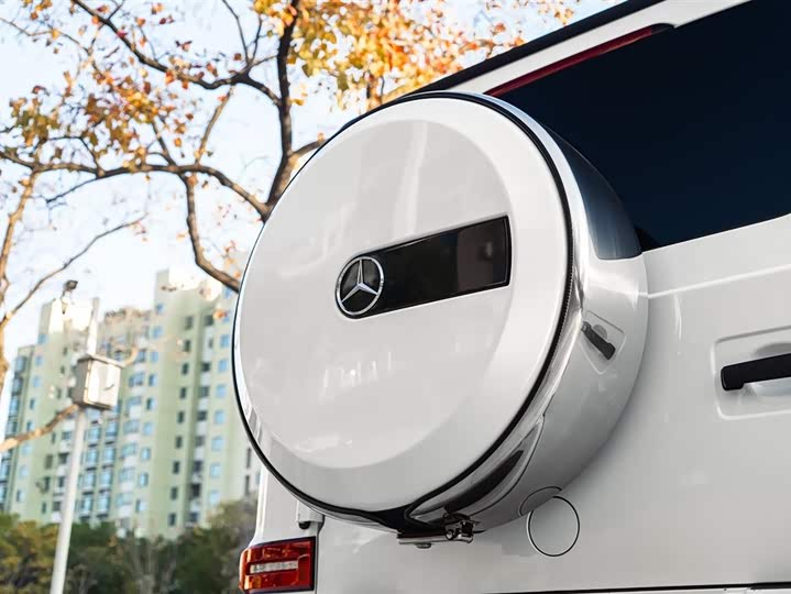 Фото 12 - Mercedes-Benz G-Class