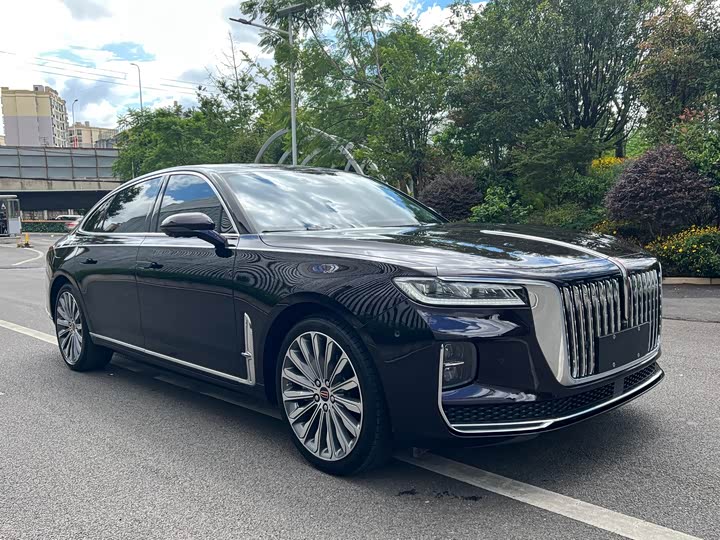Фото 2 - Hongqi H9