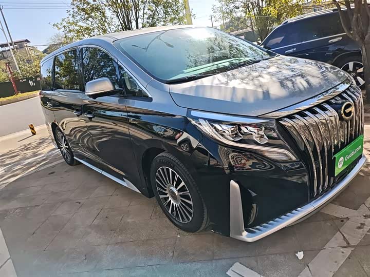 Фото 4 - GAC Trumpchi M8